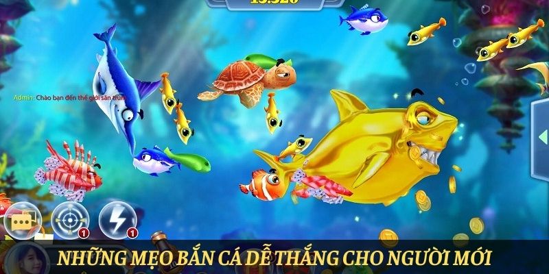 Mẹo hay giúp anh em bội thu khi chơi Vua săn cá Gemwin 5 meo choi vua san ca kiem boi tien tu gemwin